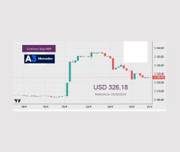 https://www.boeroycia.com.ar/single/noticia/77/piden-confianza